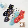 Chaussettes chat (x5)