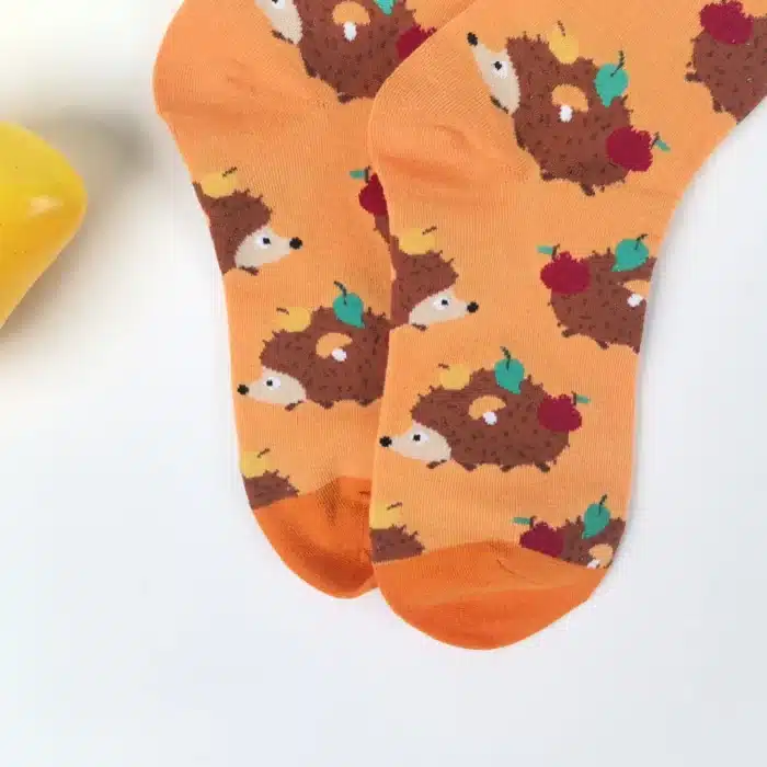 Chaussettes hérisson 6