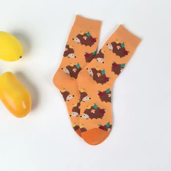 Chaussettes hérisson 2