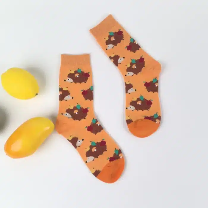 Chaussettes hérisson 3