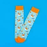 4b995a11-6271-4bce-aa13-3281bb1e061a