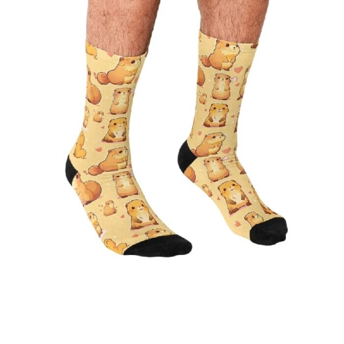 Nouveau projet – 2026-03-03T123133.454